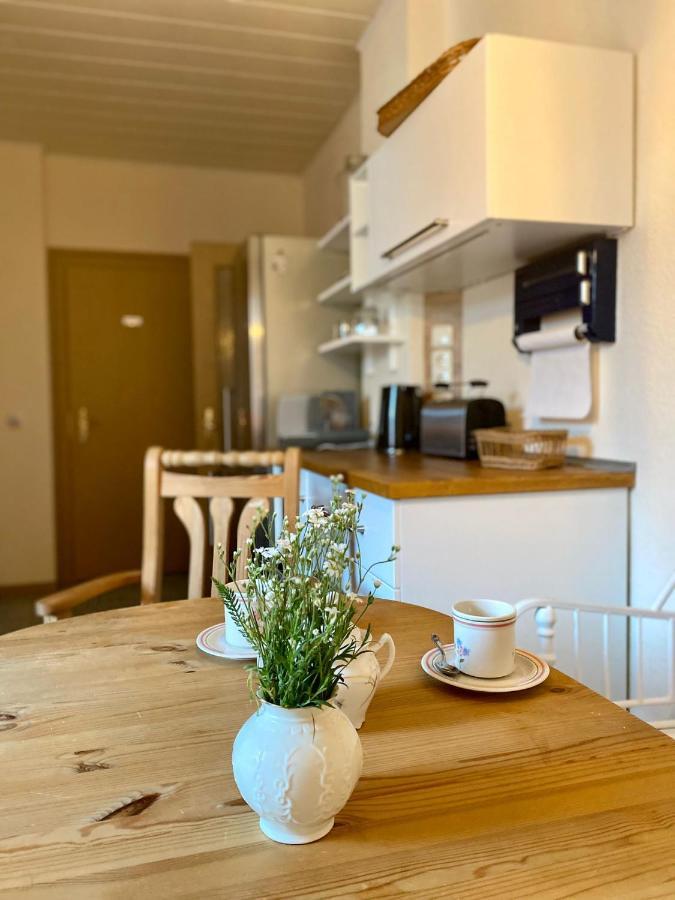 Ferienwohnung Schmidtalien Dommitzsch Екстериор снимка